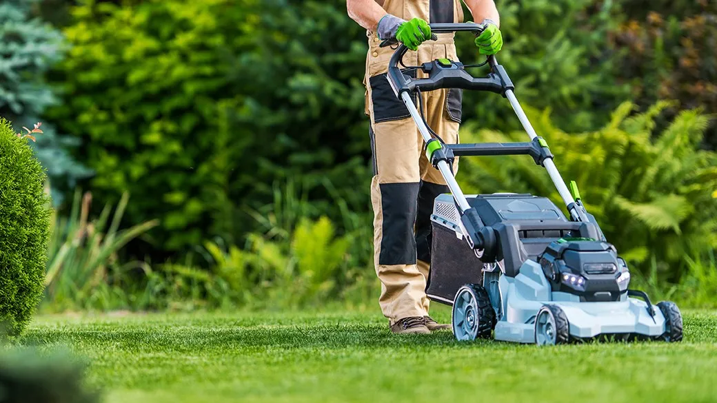 Best Lawn Guy