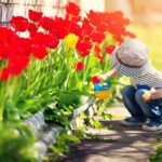 The Gardening Revival: Why Green Spaces Are the New Luxury