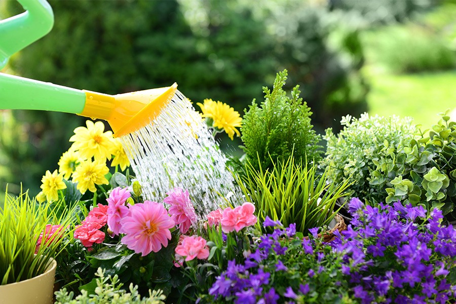 Gardening Made Simple: A Complete Guide for Modern Homeowners